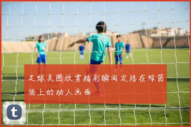 足球美图欣赏精彩瞬间定格在绿茵场上的动人画面