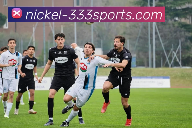 333体育品牌故事