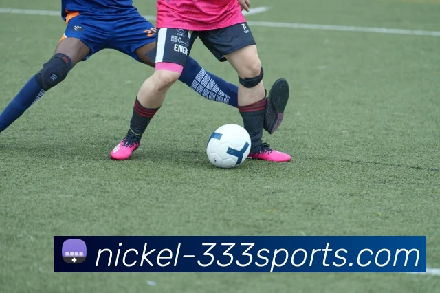 333体育服务体系